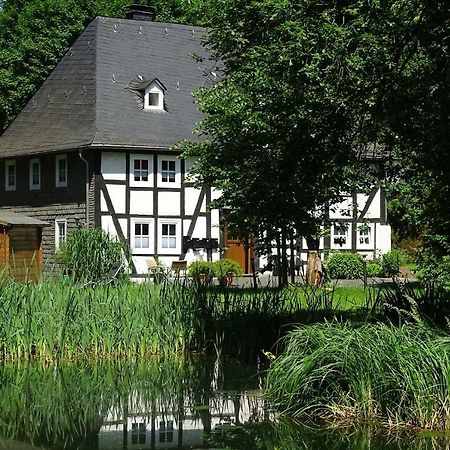 Ferienwohnung "Kleine Auszeit" Olsberg Zewnętrze zdjęcie