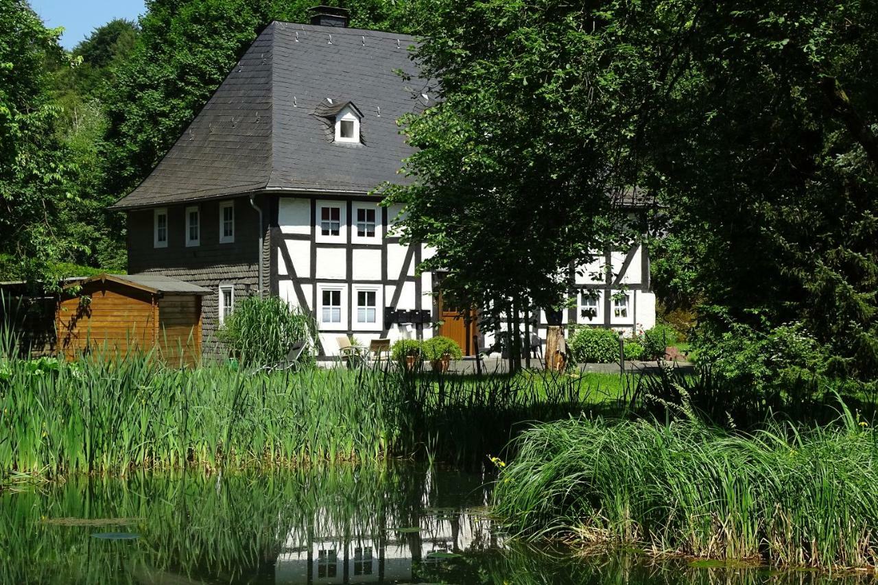 Ferienwohnung "Kleine Auszeit" Olsberg Zewnętrze zdjęcie